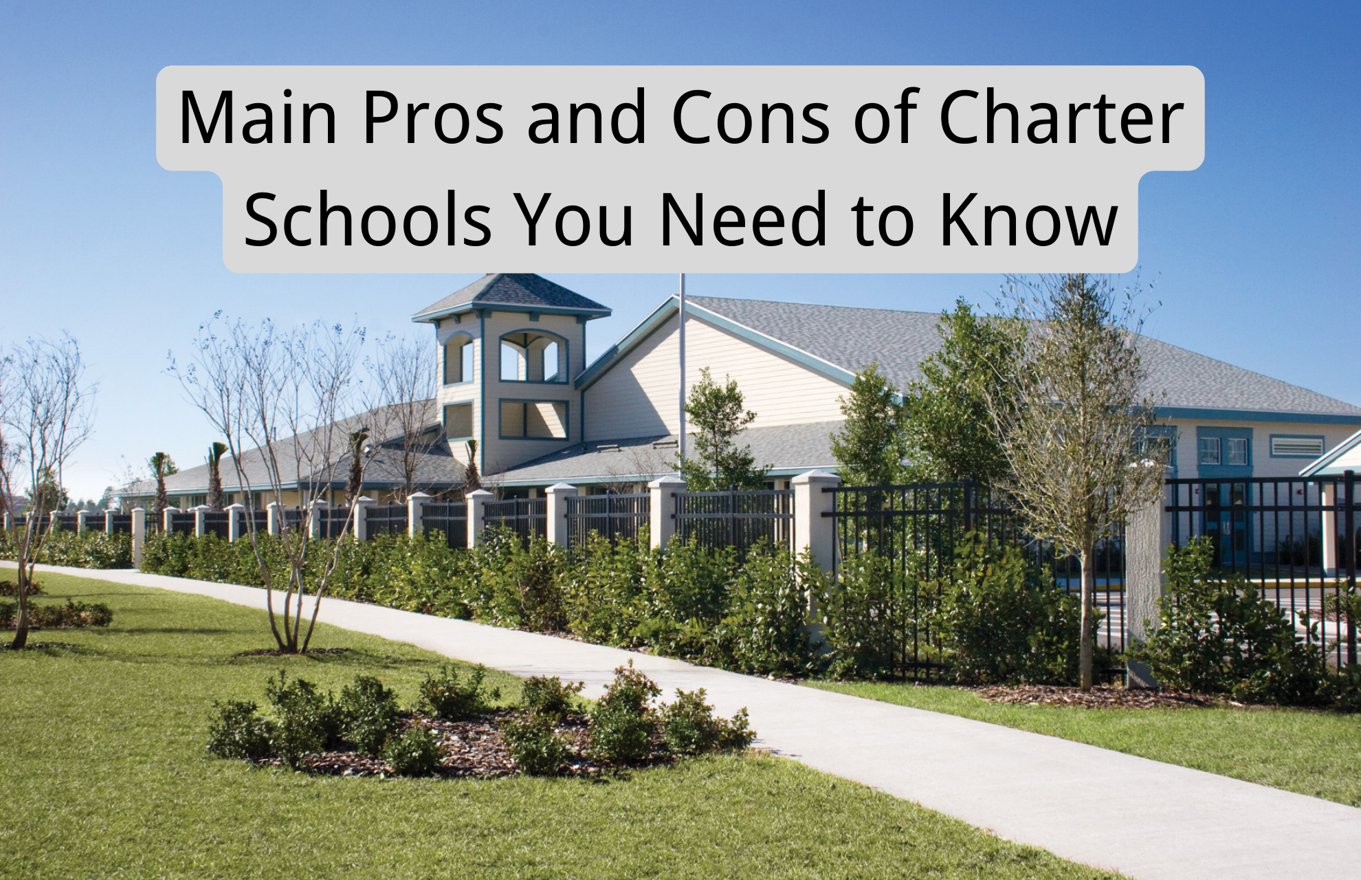 34 Main Pros and Cons of Charter Schools You Need to Know