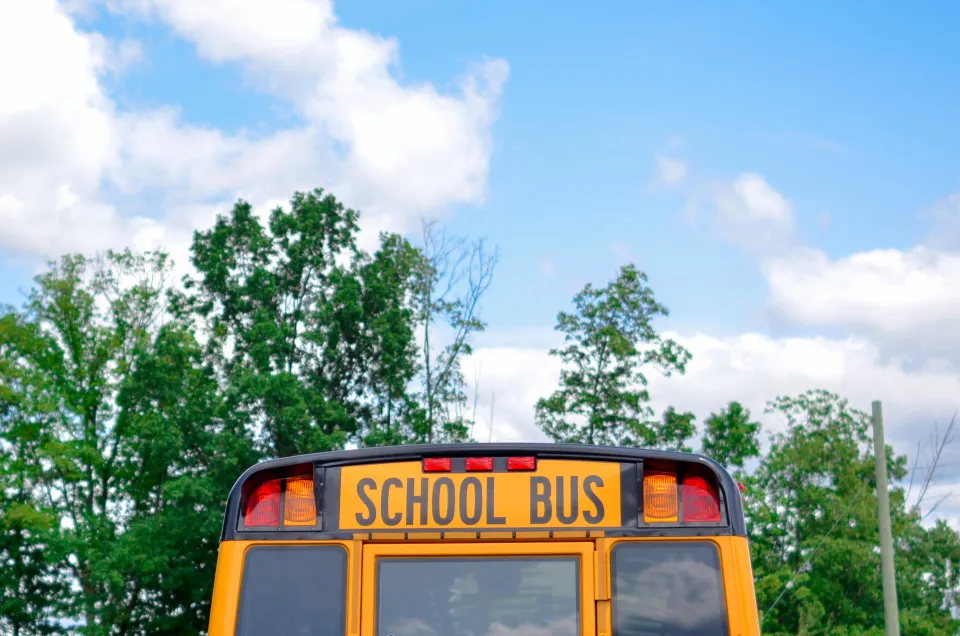 How to Transfer from Homeschool to Public School? A Complete Guide