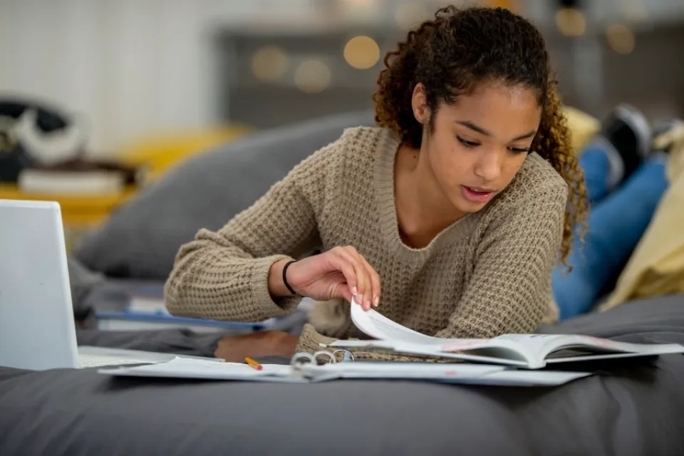 Do You Need a Degree to Homeschool? Things To Know