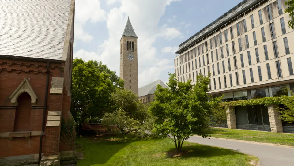 Is Cornell University a Good Choice? What is Known For?